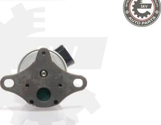 Esen SKV 14SKV017 - Supapa EGR aaoparts.ro