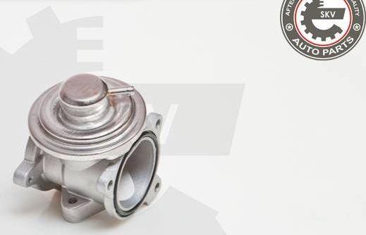 Esen SKV 14SKV034 - Supapa EGR aaoparts.ro