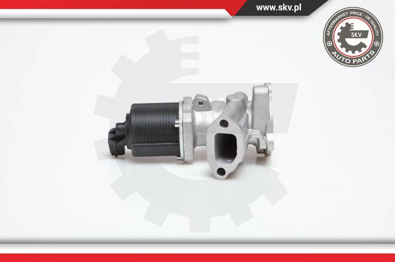 Esen SKV 14SKV031 - Supapa EGR aaoparts.ro