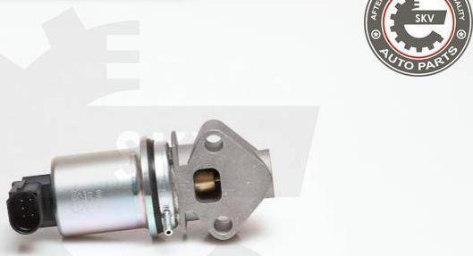 Esen SKV 14SKV029 - Supapa EGR aaoparts.ro