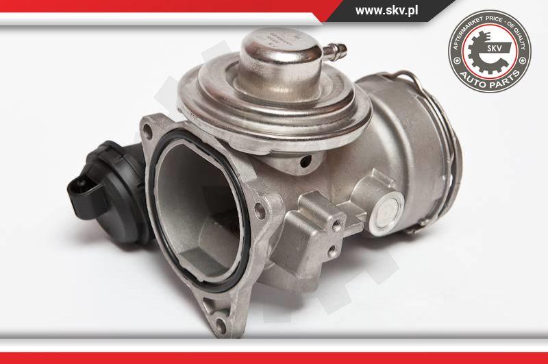 Esen SKV 14SKV025 - Supapa EGR aaoparts.ro