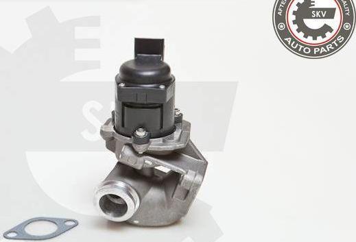 Esen SKV 14SKV028 - Supapa EGR aaoparts.ro