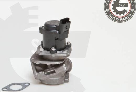 Esen SKV 14SKV027 - Supapa EGR aaoparts.ro