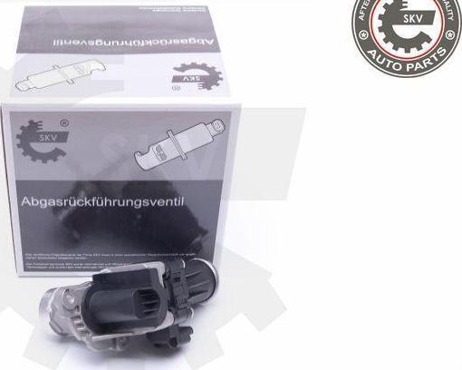 Esen SKV 14SKV185 - Supapa EGR aaoparts.ro