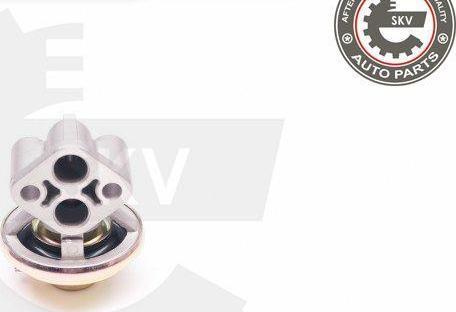 Esen SKV 14SKV130 - Supapa EGR aaoparts.ro