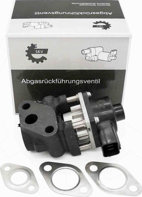 Esen SKV 14SKV260 - Supapa EGR aaoparts.ro
