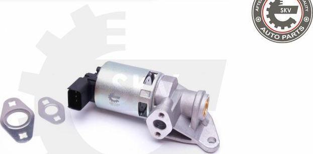 Esen SKV 14SKV208 - Supapa EGR aaoparts.ro