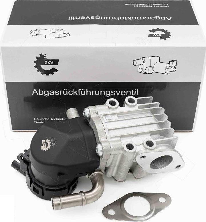 Esen SKV 14SKV283 - Supapa EGR aaoparts.ro