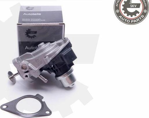 Esen SKV 14SKV233 - Supapa EGR aaoparts.ro