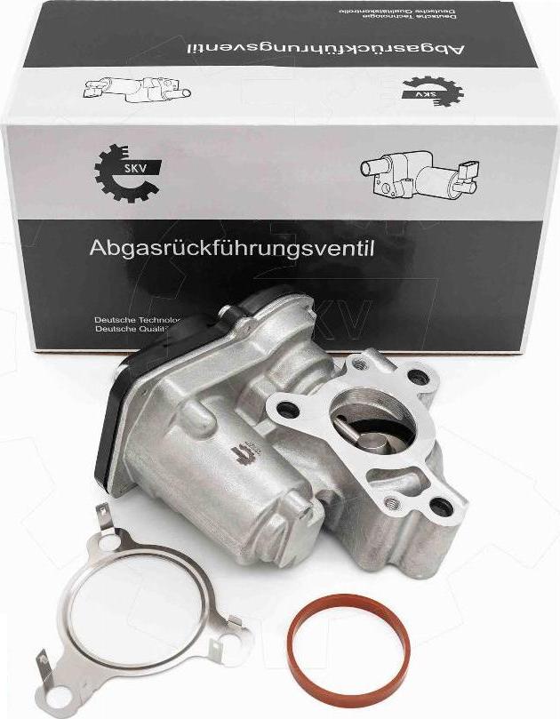 Esen SKV 14SKV276 - Supapa EGR aaoparts.ro
