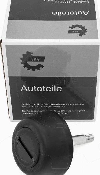 Esen SKV 16SKV934 - Fixare usa aaoparts.ro