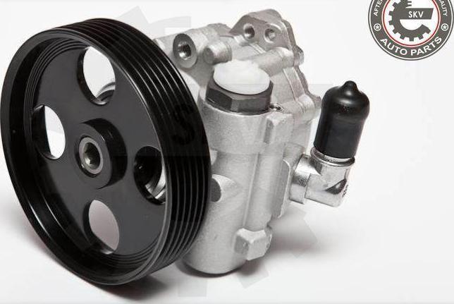 Esen SKV 10SKV004 - Pompa hidraulica, sistem de directie aaoparts.ro