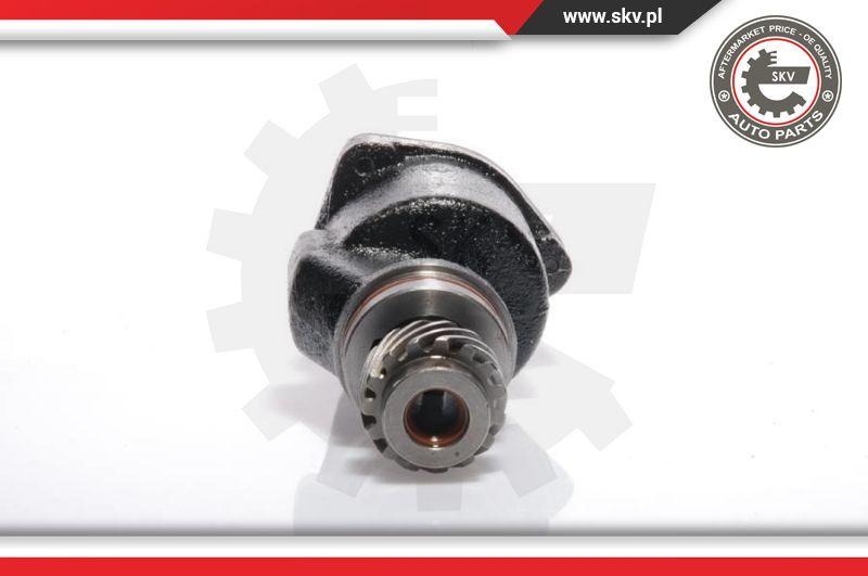 Esen SKV 18SKV001 - Pompa vacuum,sistem de franare aaoparts.ro