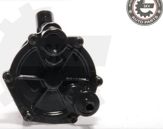 Esen SKV 18SKV003 - Pompa vacuum,sistem de franare aaoparts.ro