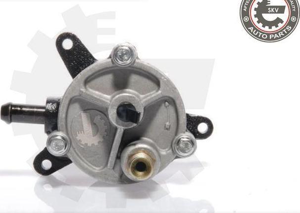 Esen SKV 18SKV010 - Pompa vacuum,sistem de franare aaoparts.ro