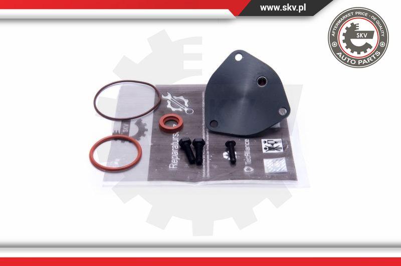 Esen SKV 18SKV806 - Set reparatie, pompa vacuum (Siste frana) aaoparts.ro