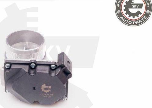 Esen SKV 12SKV058 - Carcasa clapeta aaoparts.ro