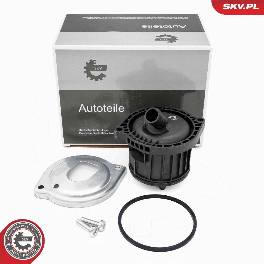 Esen SKV 31SKV419 - Separator ulei, ventilatie bloc motor aaoparts.ro