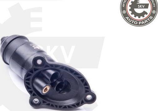 Esen SKV 31SKV056 - Filtru hidraulic, cutie de viteze automata aaoparts.ro