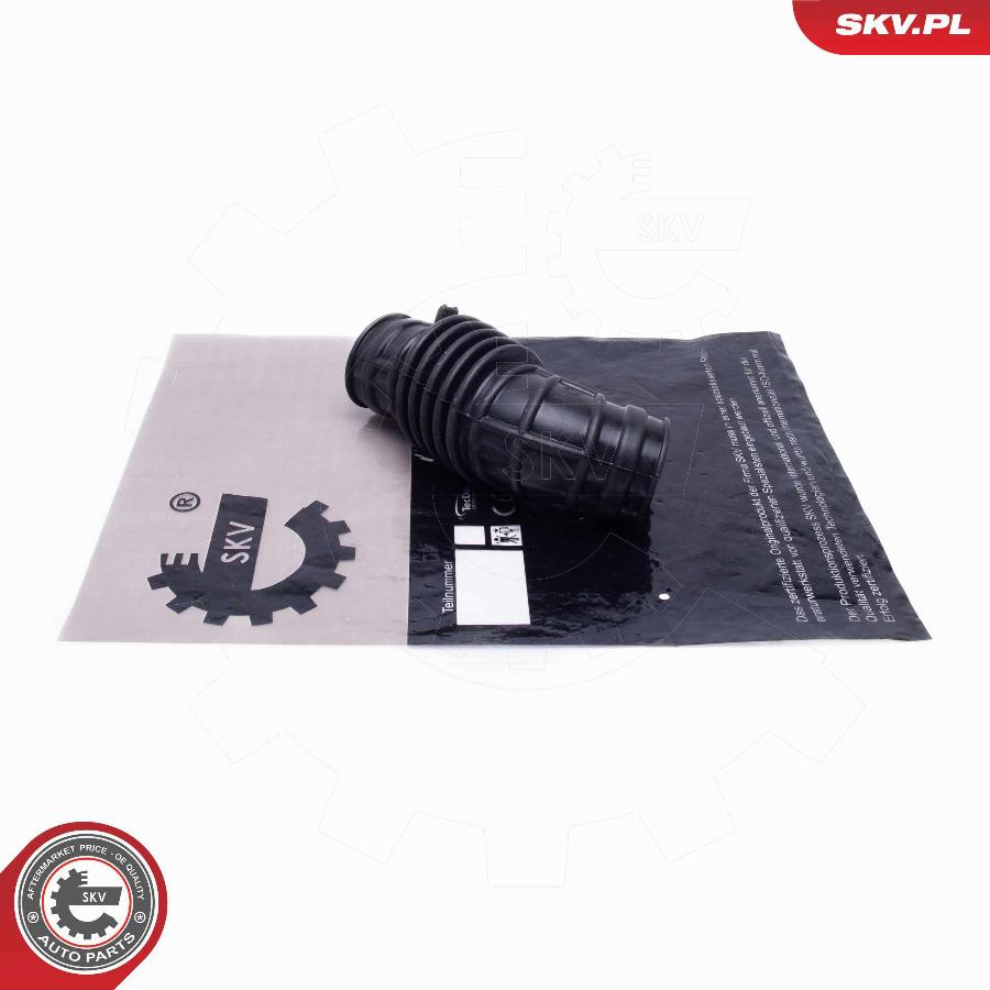 Esen SKV 24SKV467 - Palnie, filtru de aer aaoparts.ro