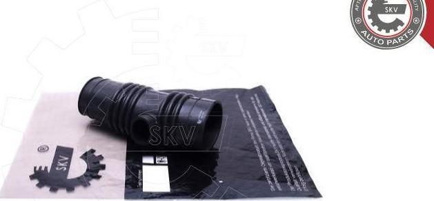 Esen SKV 24SKV489 - Palnie, filtru de aer aaoparts.ro