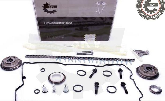 Esen SKV 21SKV117 - Chit lant de distributie aaoparts.ro