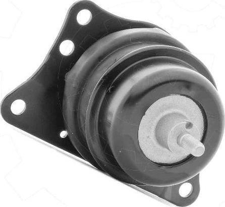 Esen SKV 75SKV046 - Suport motor aaoparts.ro