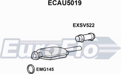 EuroFlo ECAU5019 - Catalizator aaoparts.ro