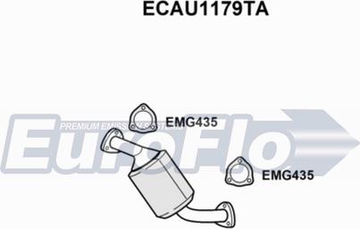 EuroFlo ECAU1179TA - Catalizator aaoparts.ro