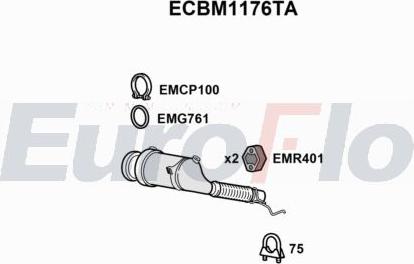 EuroFlo ECBM1176TA - Catalizator aaoparts.ro