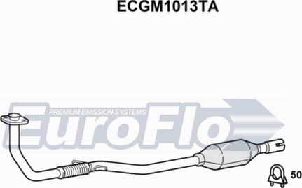 EuroFlo ECGM1013TA - Catalizator aaoparts.ro