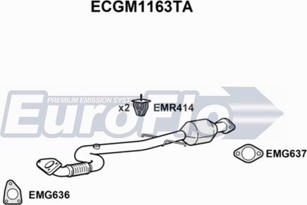 EuroFlo ECGM1163TA - Catalizator aaoparts.ro