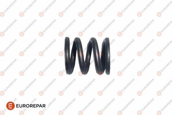 EUROREPAR 1607361580 - Arc, toba esapament aaoparts.ro