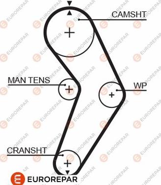 EUROREPAR 1633135780 - Curea de distributie aaoparts.ro