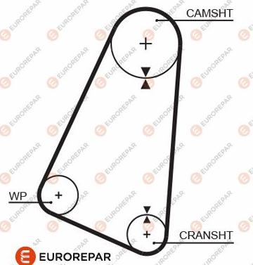 EUROREPAR 1633136280 - Curea de distributie aaoparts.ro
