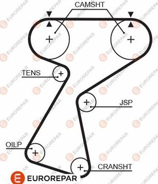 EUROREPAR 1633138180 - Curea de distributie aaoparts.ro