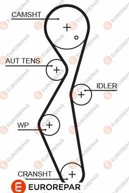 EUROREPAR 1633127280 - Curea de distributie aaoparts.ro
