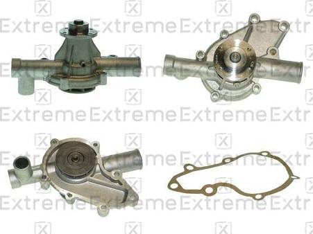 EXTREME 98040001 - Pompa apa aaoparts.ro