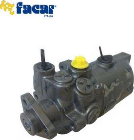 FACAR 802013 - Pompa hidraulica, sistem de directie aaoparts.ro