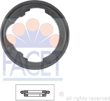 FACET 7.9548 - Garnitura termostat aaoparts.ro