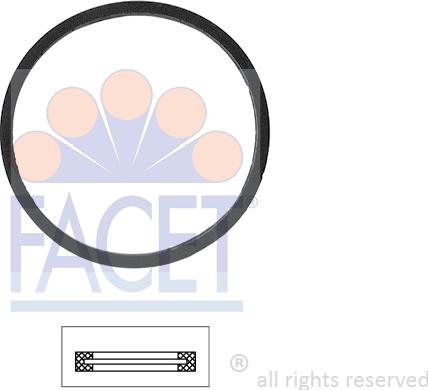 FACET 7.9528 - Garnitura termostat aaoparts.ro