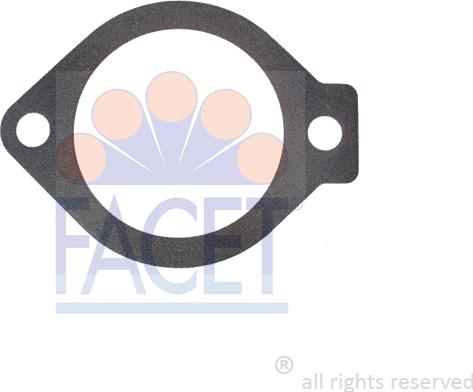 FACET 7.9691 - Garnitura termostat aaoparts.ro