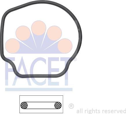 FACET 7.9643 - Garnitura termostat aaoparts.ro