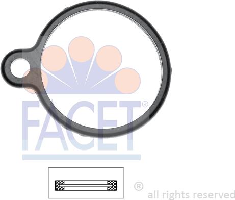 FACET 7.9651 - Garnitura termostat aaoparts.ro