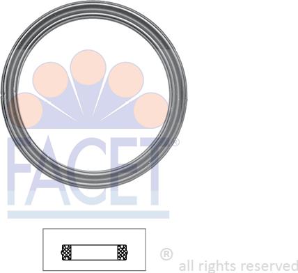 FACET 7.9610 - Garnitura termostat aaoparts.ro