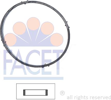 FACET 7.9701 - Garnitura termostat aaoparts.ro