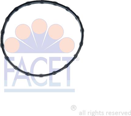FACET 7.9737 - Garnitura termostat aaoparts.ro