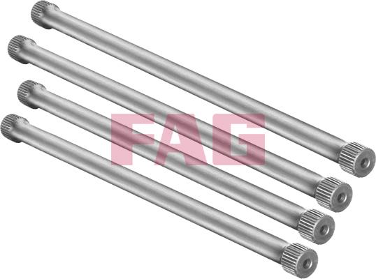 FAG 813 0001 30 - Set suspensie, arcuri elicoidale aaoparts.ro