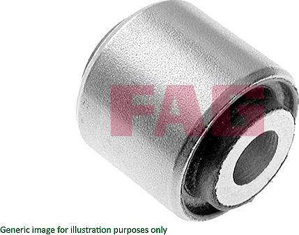 FAG 829 0696 10 - Suport,trapez aaoparts.ro