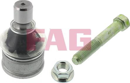 FAG 825 0246 10 - Articulatie sarcina / ghidare aaoparts.ro